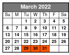Half Day (4 Hour) Rental - Honda Pioneer 1000 (5 Seater) March Schedule
