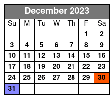 Anakeesta General Admission & Sightseeing Chondola December Schedule