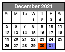 Anakeesta Mountain Sightseeing Chondola December Schedule