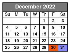 Anakeesta Mountain Sightseeing Chondola in Pigeon Forge - Hours, Schedule & Reviews December Schedule