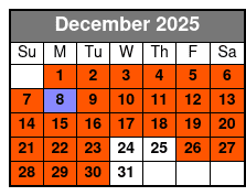 Smoky Mountain Christmas Light Ride December Schedule