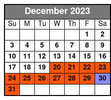 Single Kayak Rental on Big Hickory Pass December Schedule