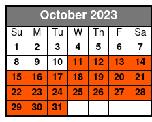 2 Hour Dolphin Boat Tour in Florida October Schedule