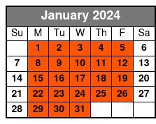 2 Hour Dolphin Tour January Schedule