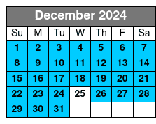 City Lights Experience December Schedule