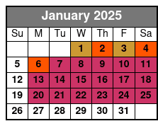 Ultimate Manhattan Sightseeing January Schedule