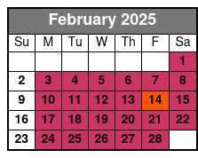 Ultimate Manhattan Sightseeing February Schedule