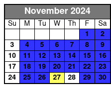 Manhattan, Brooklyn and Staten November Schedule