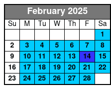 Manhattan, Brooklyn and Staten February Schedule