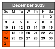Harlem and Gospel Tour with Transportation on Sundays December Schedule