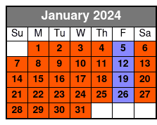Whole Central Park Pedicab Tour Private January Schedule