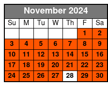Semi-Private 8ppl Max. English November Schedule