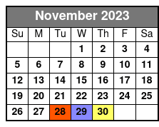 New York Helicopter Flight: Grand Island November Schedule