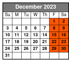 19:00 December Schedule