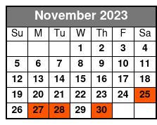 Washington DC Day Tour from New York City November Schedule