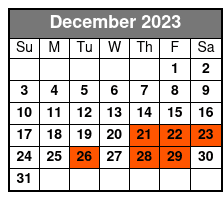 NYC at Night Bus Tour December Schedule