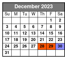 Morning Tours December Schedule