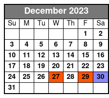 Group Tour December Schedule