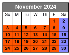 Cruise & One World Observatory November Schedule