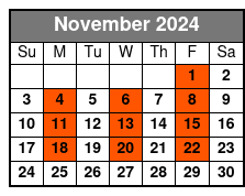 Am Departure November Schedule