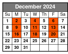 Am Departure December Schedule