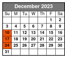 Niagara Falls One Day Tour from New York City December Schedule
