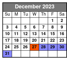 Guided Walking Tour in English December Schedule