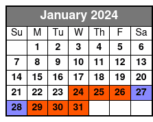 60-Minute Lady Liberty Cruise Near Statue of Liberty Multilingual January Schedule