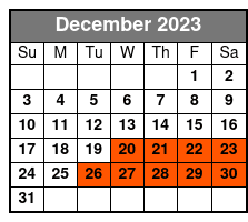 New York City Boroughs Cultural Diversity Tour December Schedule