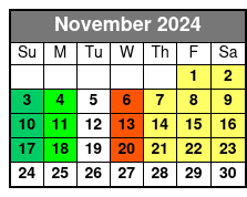 Brooklyn Tour (In English) November Schedule