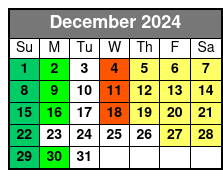 Brooklyn Tour (In English) December Schedule