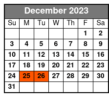 Bushwick Street Art and Williamsburg Walking Tour December Schedule