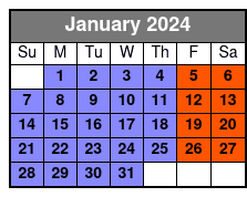 New York City Sky Line & Statue of Liberty Sightseeing Cruise Pier 36 Opened January Schedule