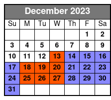 NYC: Sunset/Night Tour 90 Mins December Schedule