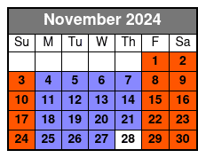 Statue of Liberty Fully Guided November Schedule