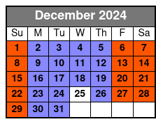 Statue of Liberty Fully Guided December Schedule