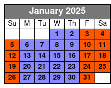 Statue of Liberty Fully Guided January Schedule