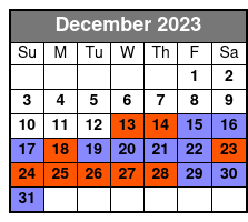 11 Am December Schedule