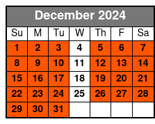 Met Pre-Orientation and Self December Schedule