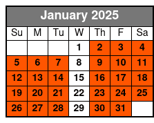 Met Pre-Orientation and Self January Schedule