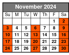 Full Body Swedish Massage November Schedule