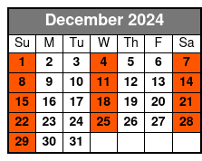 Full Body Swedish Massage December Schedule