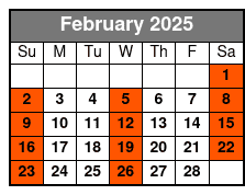 Full Body Swedish Massage February Schedule