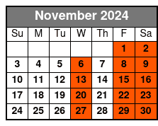 Customized Facial November Schedule
