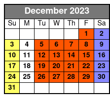 Electric Bike Tour of Central Park & Upper Manhattan December Schedule