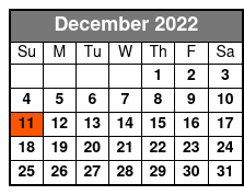 Polar Explorer Cruise December Schedule