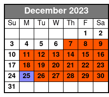 Closed-Top Luxury Bus December Schedule