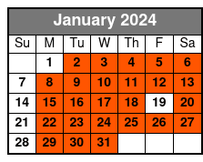 Closed-Top Luxury Bus January Schedule