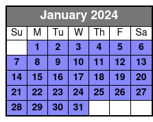 Private Half-Day Sightseeing Tour of Washington DC January Schedule