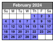 Private Half-Day Sightseeing Tour of Washington DC February Schedule